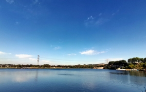 ��߅����ɫ��������Ļ���������ܣ�