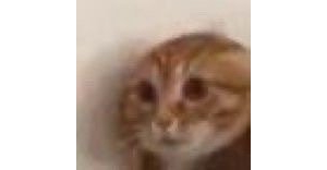 ��ζ��������ڼ�������ȻԴ�Խ��