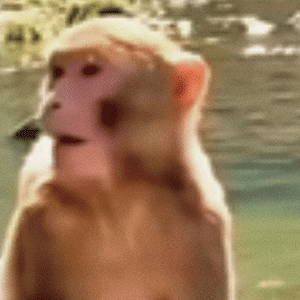 �f(shu��)���(sh��)Ԓ�����ȥ�Ϻ��ĸ��F����Ĳ��ܽи��F...