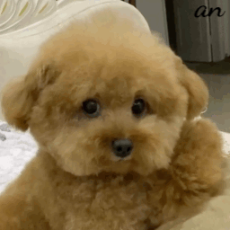 ����î�����ÿ������˯�����X(ju��)��������