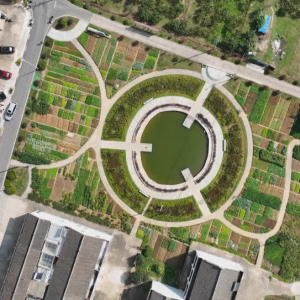 ������ˣ������n���l(xi��ng)�壡