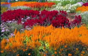 ץס�������������G���������������ķՇ���