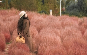 ����Ƭ�t�~���w���c�n��ɫ����ͬ�ͮ�����