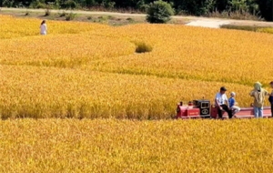 �����e�^�������^��С��܇������������