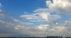 ��̧�^�����������׃��Ī�y����