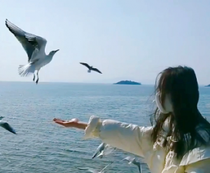 �x�^��^�B�򿨣�Ŀ֮�������fǧϲ�g