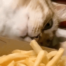 �����w�z���w֬��29.8���t���f�ҿ���ȥ���֣�������һ�ϷQ��֪����