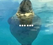 �k����ӑՓ���WУ��ͬ�� ����ꖾ��f�\���u��һ�в��h��