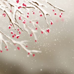 �������������Խ��Խ���ˣ����ӛ�����±�ů