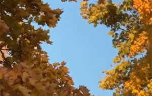 ��՚�ʕr���_���·�һҹ�붬