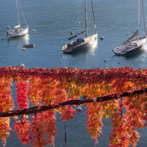 �S�ģ����X������������ѳ���