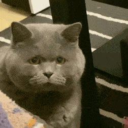 ���Ӳ���һ�꼉�����ѽ������I���������ˣ�