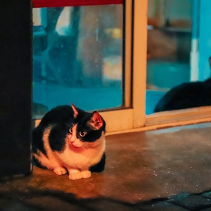 ��Щ�ː���ô������B(y��ng)��ֻ����؈�oС�^(q��)܇��ץ���󣬵��s�����s����