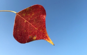 �o��Ԋ��ĕr��(ji��)��������߅��������ɫ