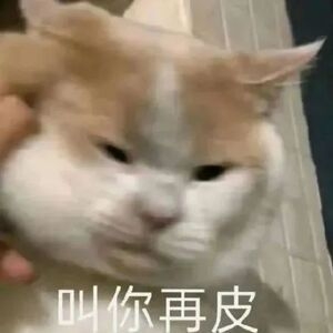 ���דƿ쿴���ˣ���֪����ʲô�F(xi��n)�ڶ����@�ӵ��L��