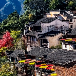 �򿨽�����X��ɽ�������������