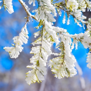 �ɹ���՚⣬�������l(f��)؛����