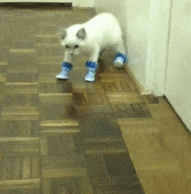 �ϱ��h����W��һ�D�����Űl�Fԭ�������h����O�Æ��}