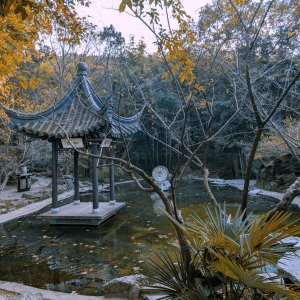 �S�ģ����ܰ��o���M�d���w