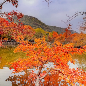 ��ƽɽ��ɫ�������ǃ�������������Ҳ�����