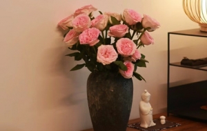 ��~�ҵ������S�����ӳ��L�����ĸ�׃......