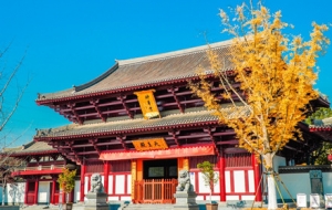 �y��Ⱦ�������������^���~���w�r