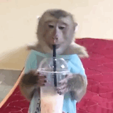 ���҇L���֖|���Ĵ��������ô�ó�