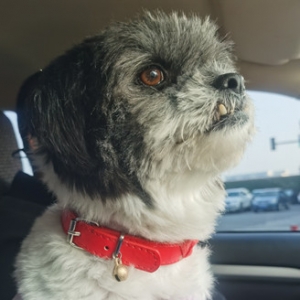 С�����Ҹ���������ϰ�ͨ���°��w��