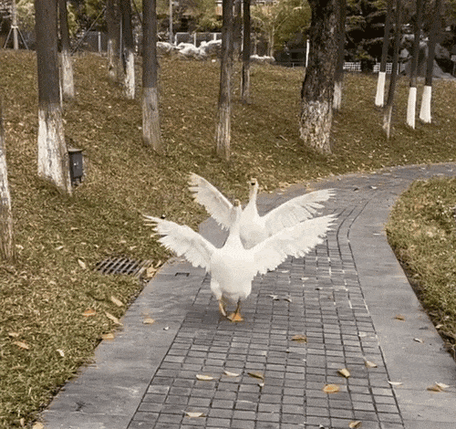 �|������F���þ�·���������ǱP߀�ܽ��볣��1̖��