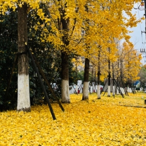 ����ɽһ��ˮһ�̣����»�܇�w�Cͣ�࣡׌�ҽo�s����������