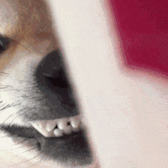 ���콵���ˣ��܇��ĩ����ԇ����ʽ�_ʼ