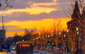 ���W���ҵ�ʥ�Q�����D���M��ͯԒ����