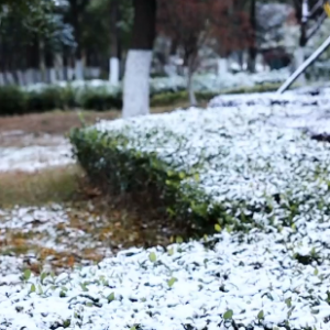 �S�ģ������賿��������������������ˣ�