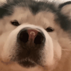 ʮ���ˣ�������ĉ����Փ���@һ�����_ʼ�����F�����R�Y������