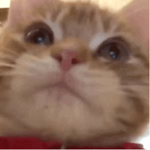 �҂���λһ�_ʼ߀�U̫ƽ�ģ��ԏ�������֮�󣬸�Þ����Κ�