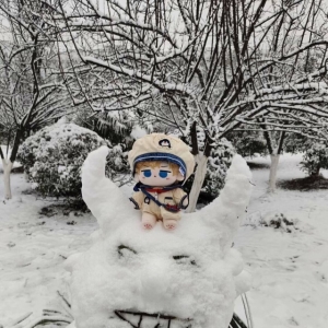 �W�ѷ�����ѩ�Ǵ�������ѩ����С�_��