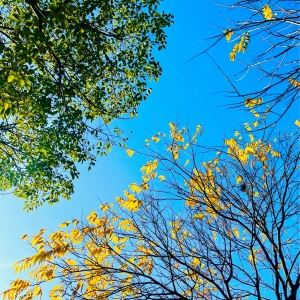 �q��������Ը��ɫ���������g��ů��