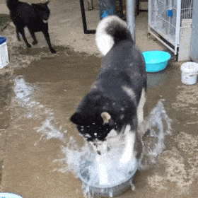 �CƷ�}һ�_�I�ǂ��˰��������_ʲô�꣬����˜����[���J���