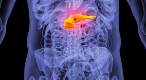 35�q��������߀�����ڟo�����g�� ���YԽ��Խ���p����