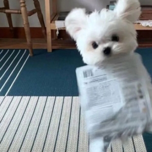 �����w���������옷���ۿ�Ҋ