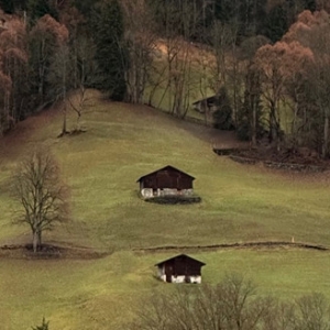 ���^ȥ�f��Ҋ����(zh��n)��ӭ��ȫ�µ�2024