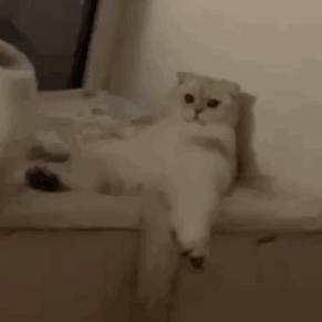 ���꿴Ҋ�ö๫��܇˦�ͣ�˾�CƢ������ĳ�