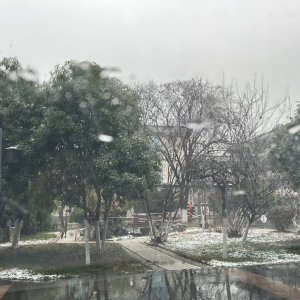 ������ȥ����o�W(xu��)�c�Σ��ؑ��M�M