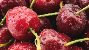 ����܇��������I(l��ng)��(d��o)�@���e�ӱ�������˼�~