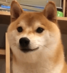 �Ǳ�һ�����^�������˶����[���M(j��n)ȥ�м�(x��)һ�����ǲ�ͣ��Ԏ׿��s����