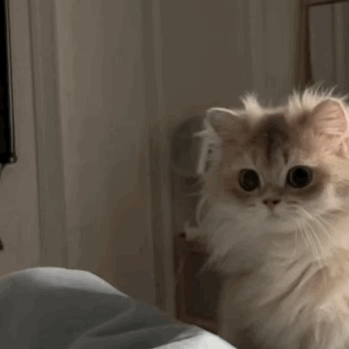 ��ɽ··߅ͣ܇3.5С�r�����M26���@��8�KһС�r��