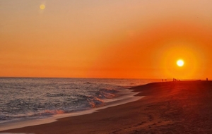 ��׽�������l�g�����ǲ����h�������