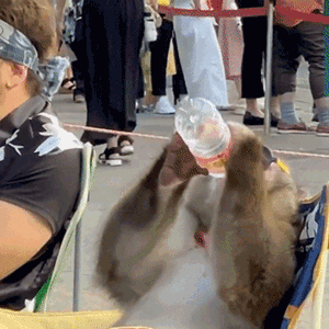 �Ҽ�һ�����12000�ȣ�������ˮƽ��