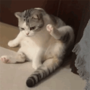 �����I�������Ҫ�挦�S�����}�������ゃ߀������ꎆ�