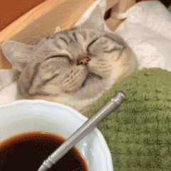 ��į���L��Ӱ��Ժ��������ǰһ����٣��Ҿ͕�ȥ��